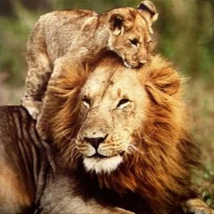 Prince V Ft. Ye' - Dad (Live From 864)