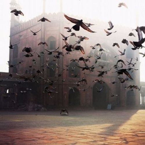 François Atlan / Durme