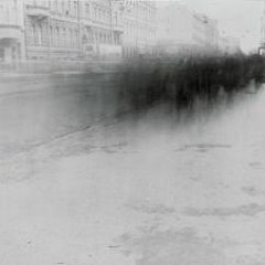 THE ICE HIGH - L'Oiseau Noir