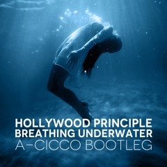 Hollywood Principle - Breathing Underwater (A-CicCo Bootleg)(Preview)