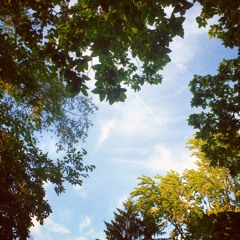 Motivation 5 - Courage Does Not Always Roar...