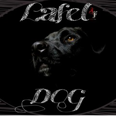 Dog produced by (bombay)