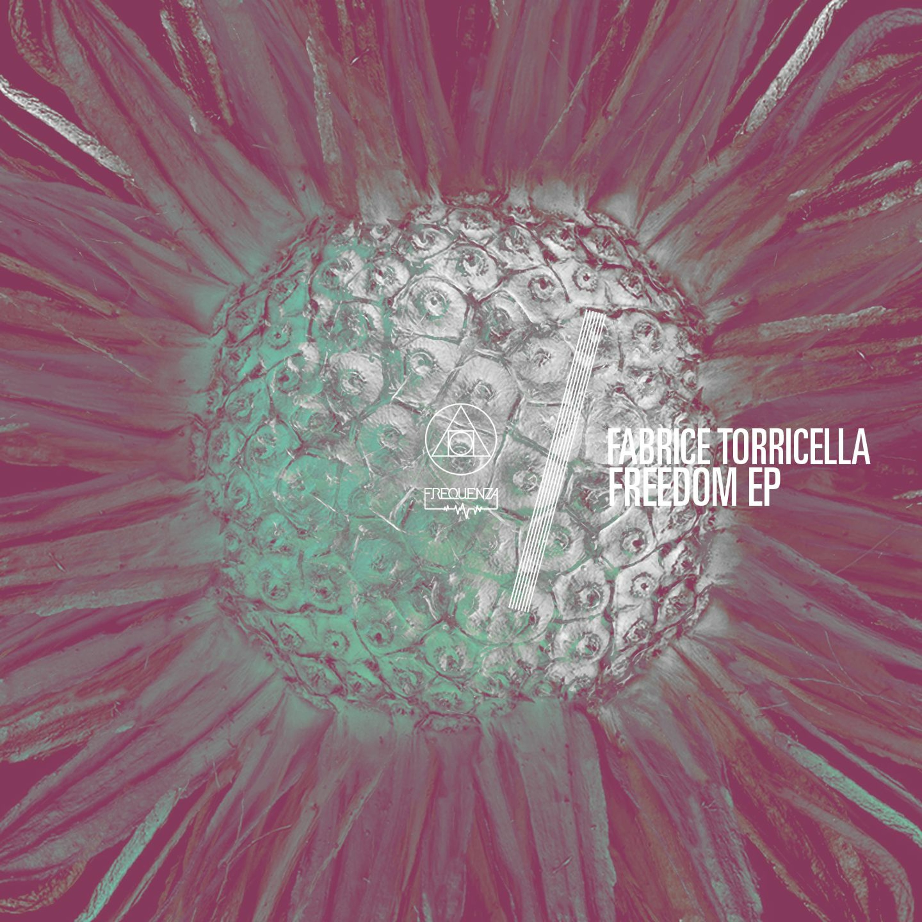 Frequenza Records