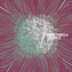 1 - Fabrice Torricella - Science Techno