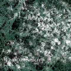 12 DOZEN BOY