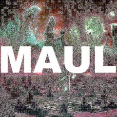Slow Down-Maul Gang/TRA[Prod. Casseau Valentine]