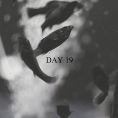 Day 19 - Waterboye