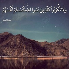 من اجمل التلاوات الخاشعة التي سوف تريح قلبك