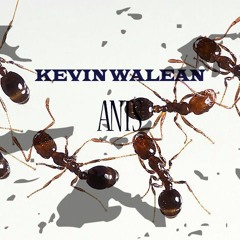 Kevin Walean - Ants