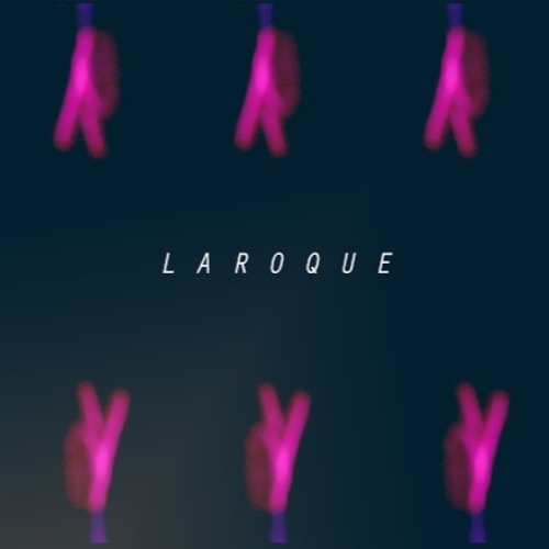 Laroque