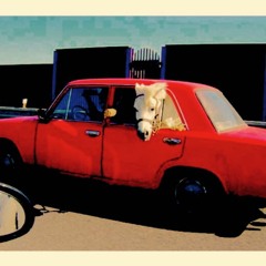 Läuft nicht, sondern Pferd!! die reise geht weiter.