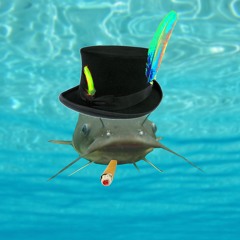 Catfish