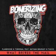Flaremode & T3rminal feat. Nathan Brumley & Tucci - What Drives The Nail (Summer After Party Anthem)
