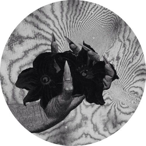 Buddie - Jutland (Gunnesbo Remix)