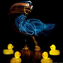 미운오리새끼(Ugly Duckling)