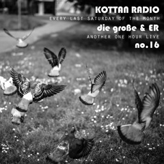 Confirm you are Human #16 - die große & ER