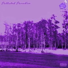 Chetta X $uicideboy$ - Polluted Paradise [Chopped & Screwed] PhiXioN