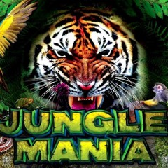 Ruffstuff Ft Traumatik & ACMC - 23 Years Of Jungle Mania D&B (April 2016)