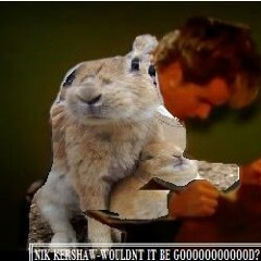 Wouldnt It Be Good (KLSLWSK Bootleg)