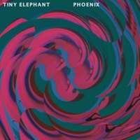 Tiny Elephant - Phoenix