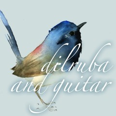miya ki malhaar - dilruba & guitar