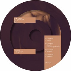 Tim Wolff - Skeptic (Jonas Kopp Remix)