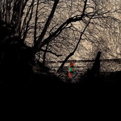 Saite Zwei - Nighting Ale (Original Mix)