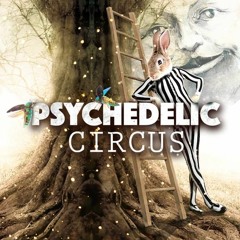 LIVE @ Psychedelic Circus Festival - Germany