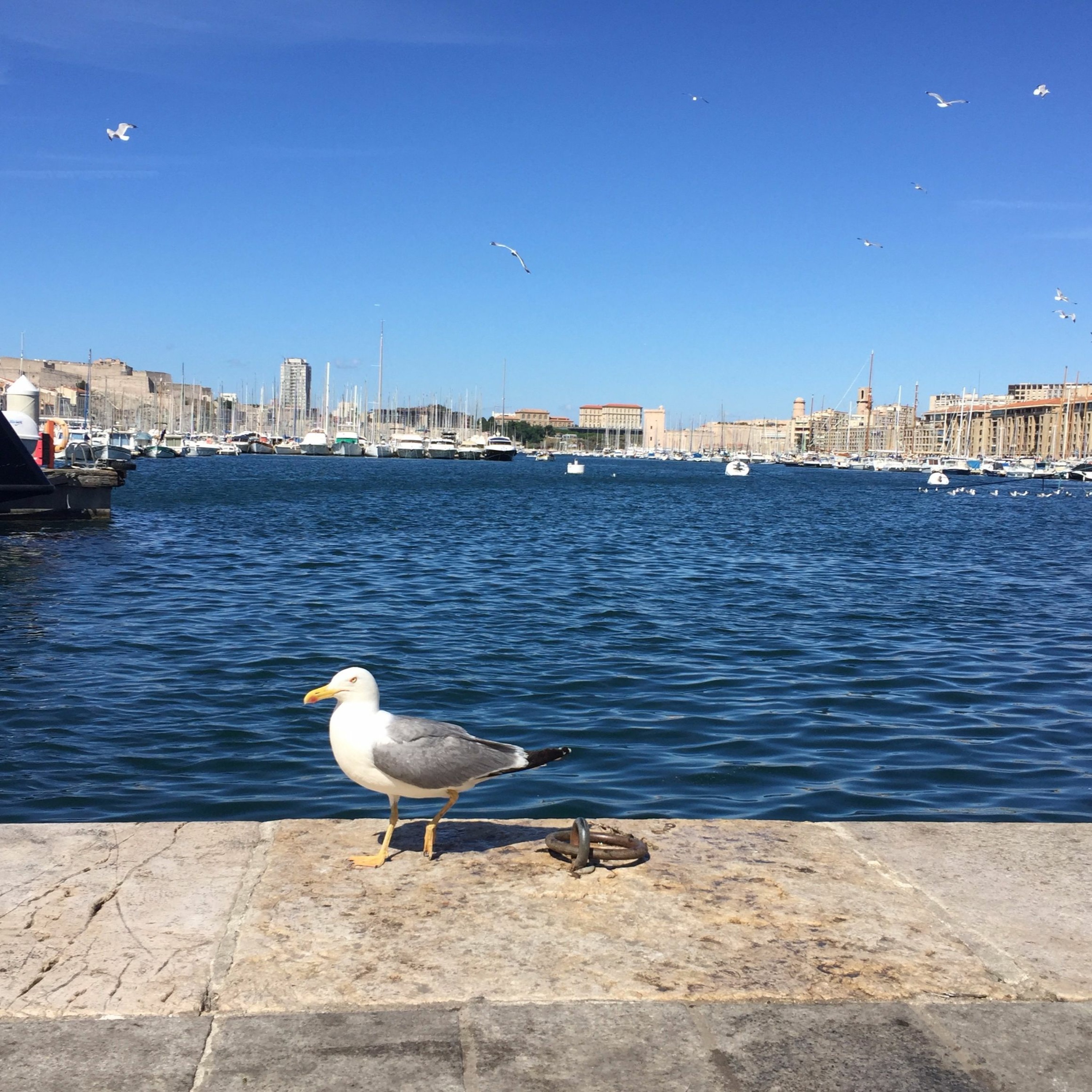 In & Around France: Marseille 20th June 2016