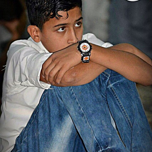 علي الدلفي العراق الجديد