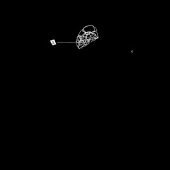 Finchè Il Filo Non Si Slega