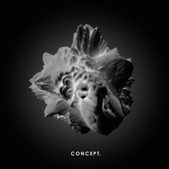Rhadow - Belong - CONCEPT. Vinyl 04