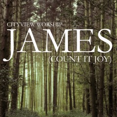 James (Count It Joy) (Live)
