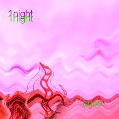 1night (cover)