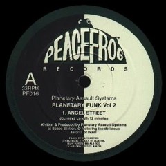 Planetary Assault Systems - In From The Day