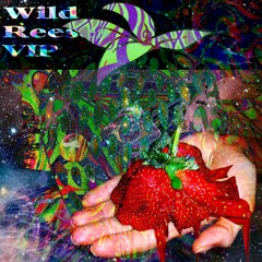 Distorted Joe- Wild Reeses VIP (02)