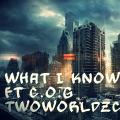 what I Know Ft C.o.g Twoworldzcollide (FREE DOWNLOAD)