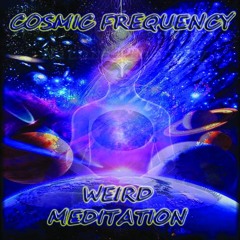 Cosmic Frequency - Lost Forest ( Dimensional Records)