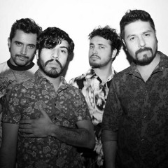 Tren Al Sur (homenaje a Jorge Gonzalez/ Los Prisioneros)