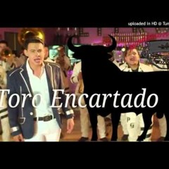 Mazizo Musical - El Toro Encartado