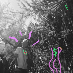 Back Home (feat. Danny Bolloré)