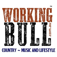 Working Bull Podcast 9