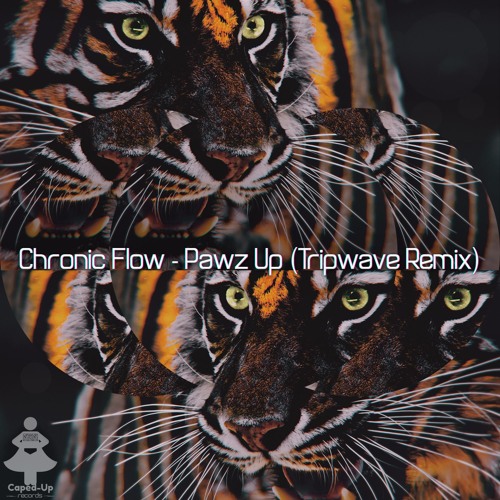 Chronic Flow - Pawz Up (Tripwave Remix)- OUT NOW ON CAPED UP RECORDS!