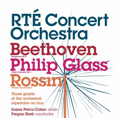 Philip Glass: Violin Concerto 1 (1st movement)