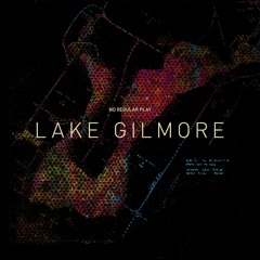 No Regular Play - Lake Gilmore (Juan MacLean Remix)