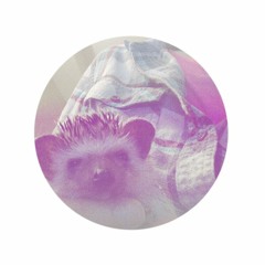 hoggo