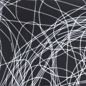Loop unknown