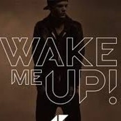 Avicci Wake Me Up / DJ D'zookerz Prynce REMIX SOUND PRYNCE