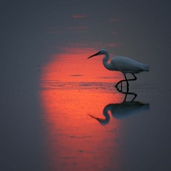 Deniz Toprak - Degme Felek