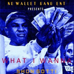 What I Wanna - Shon Gotti